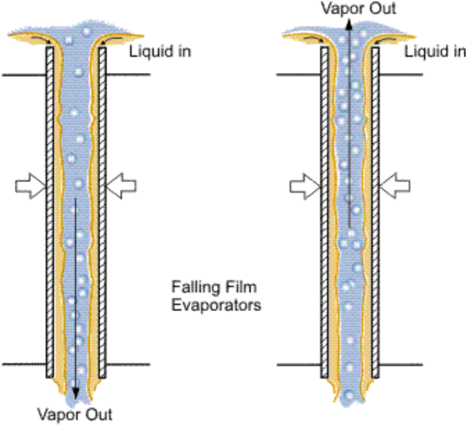Modes of falling film evaporation