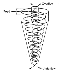 Schematic representation of the spiral flow.