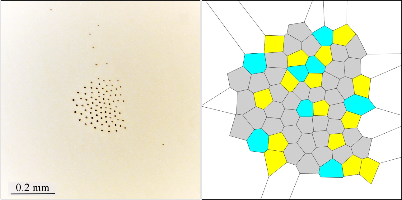 Change of droplet cluster with the parameter K: (c, d) K = 2.9 K/mm, S = 0.91; (c) image of clusters; and (d) Voronoi tessellations (pentagons, hexagons, and heptagons, highlighted in yellow, gray, and blue, respectively)