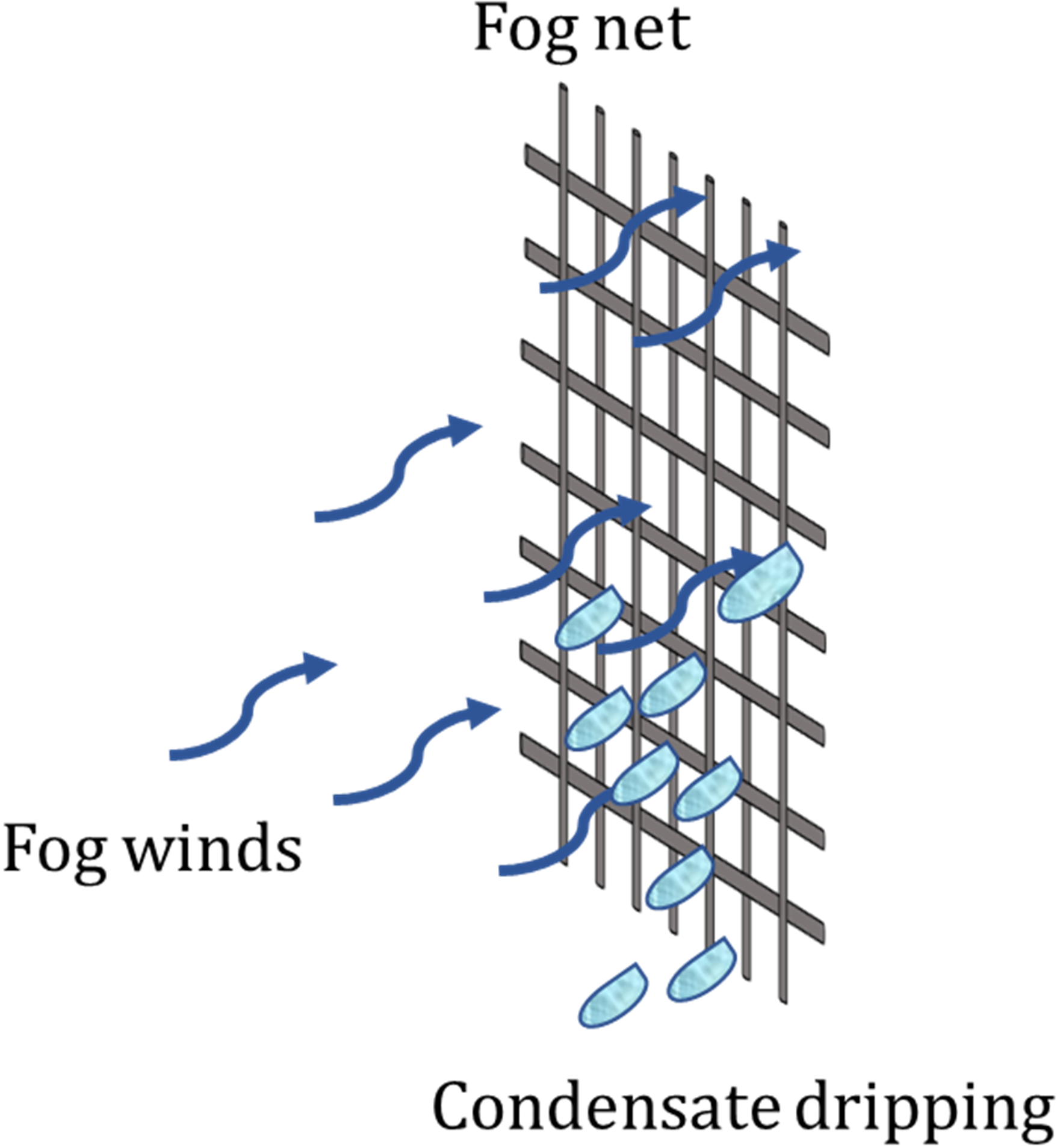 Schematic illustration of fog harvesting
