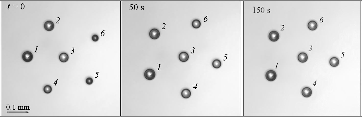 Evolution of droplet cluster during the long-term infrared irradiation (Reprinted from Dombrovsky et al. with permission from Elsevier, Copyright 2020)