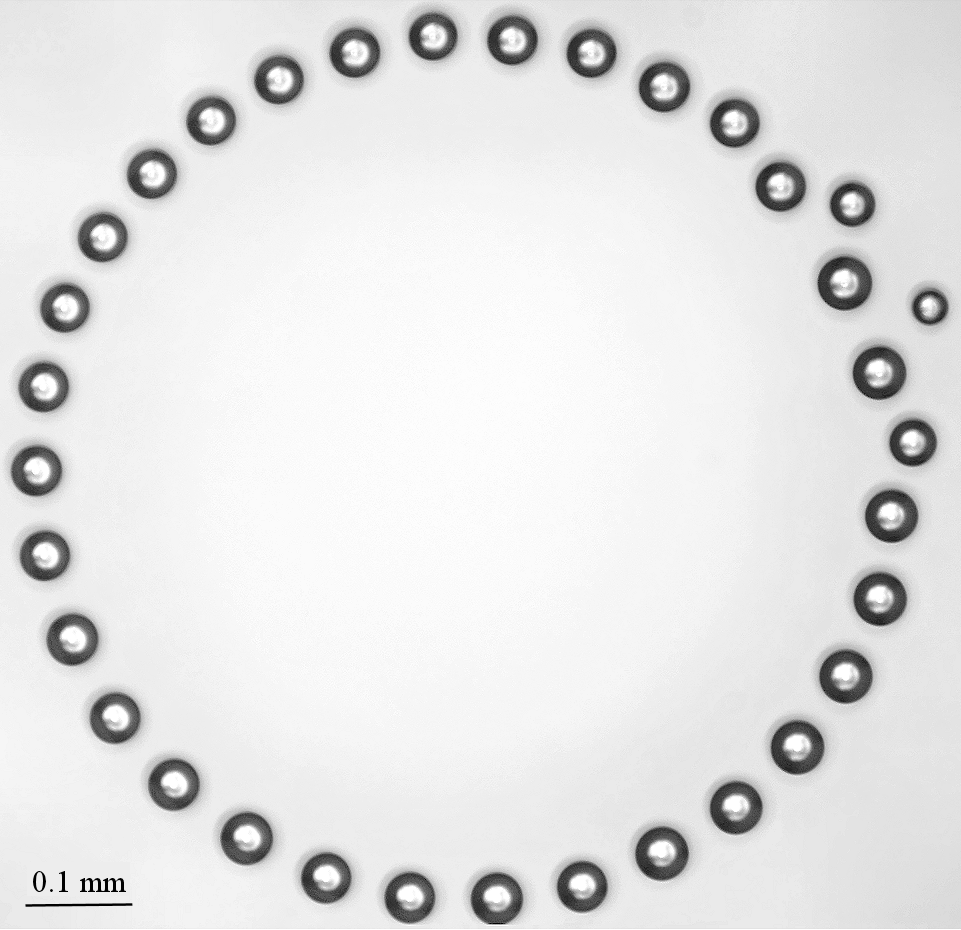 Photo of a ring-shaped cluster being formed (Reprinted from Fedorets et al. with permission from the Springer Nature, Copyright 2022)