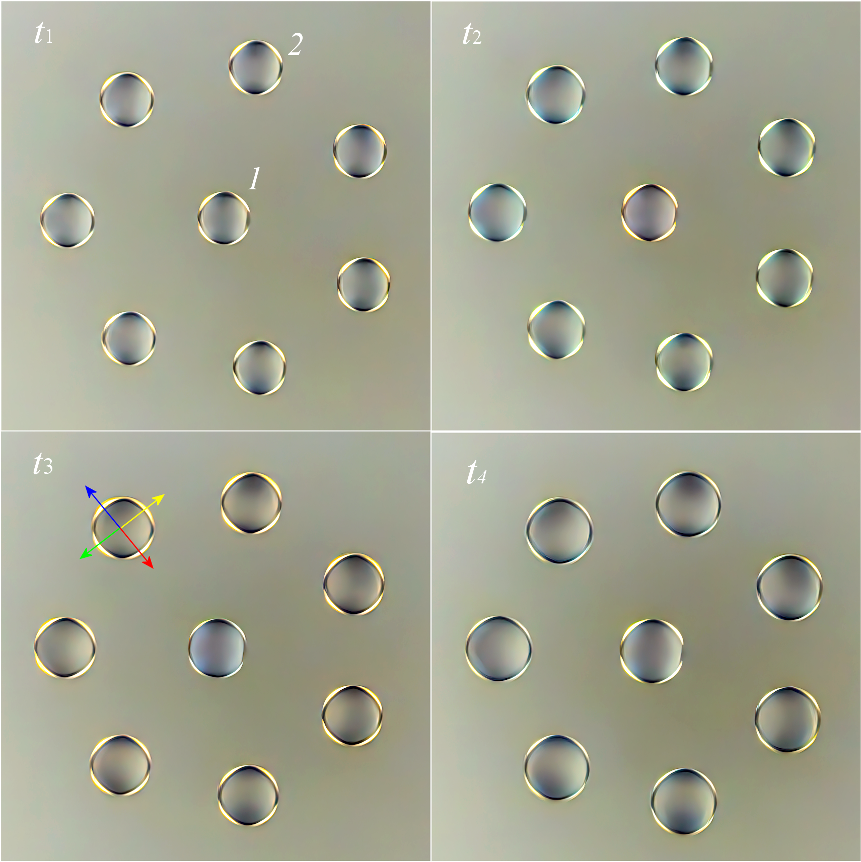 Changes in the color of the halo around the droplets as the droplets grow and approach the water surface: (c) cluster images at characteristic times, shown in panels (a) and (b) [the scale of the four images is the same, the lack of a scale bar is compensated for by the data in panel (b)]