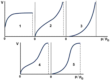 Forms of experimental adsorption isotherms.
