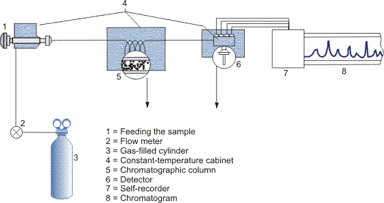 Schematic diagram of chromatography system.