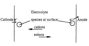 Oxidation and reduction in an electrochemical cell.