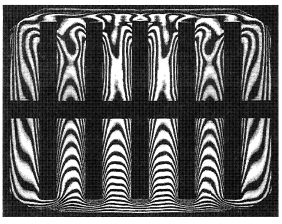 Holographic interferogram of natural convective air cooling in a closed casing with five heated plates [Mayinger (1994)].