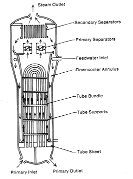 Schematic diagram of a U-tube SG.